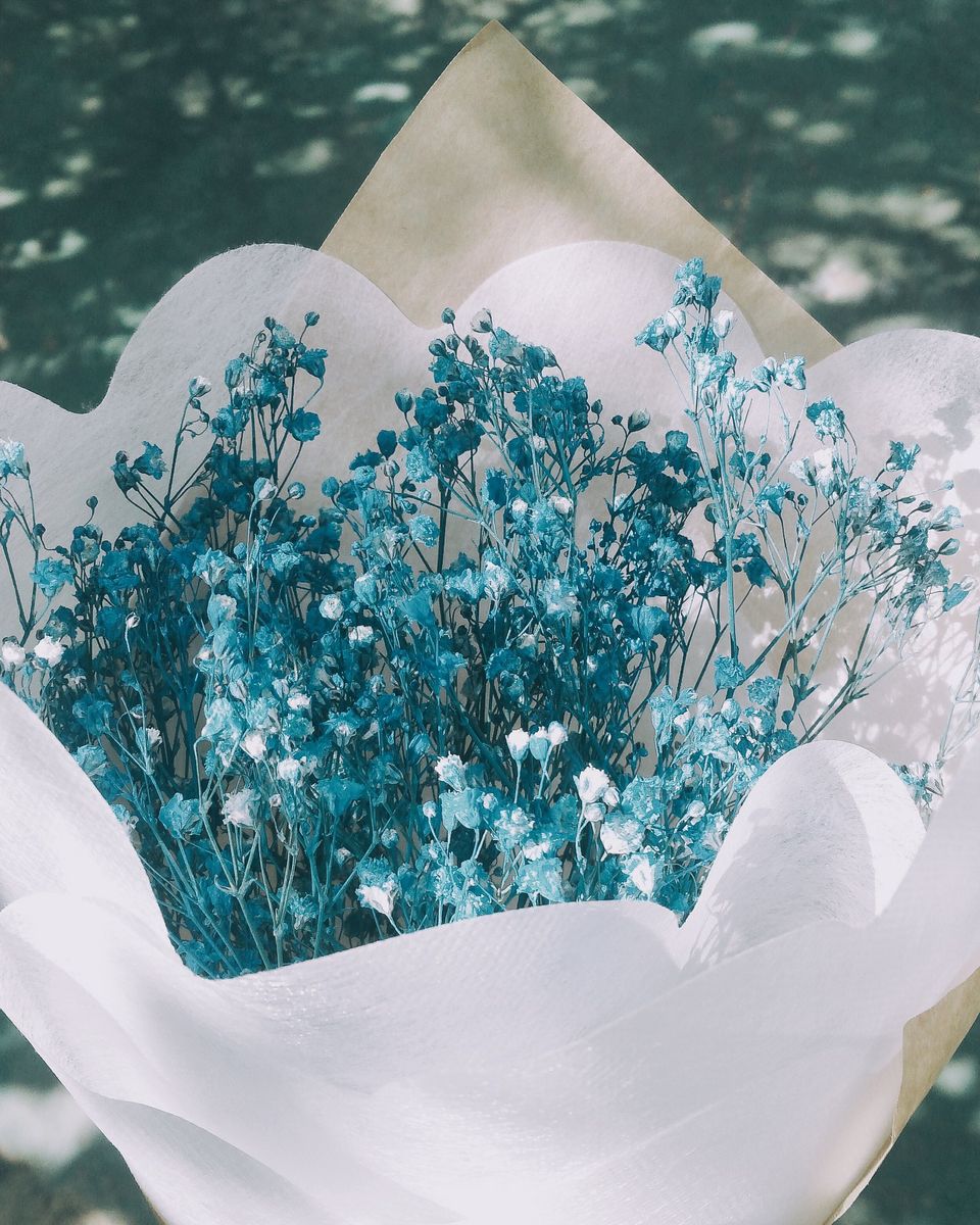 Bó hoa nhỏ màu xanh bọc giấy trắng (ảnh mẫu)